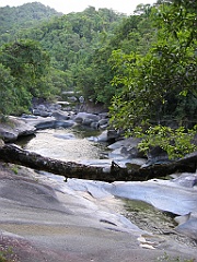 258 Babinda Boulders